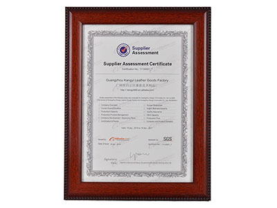 康意Supplier Assessment Certificate